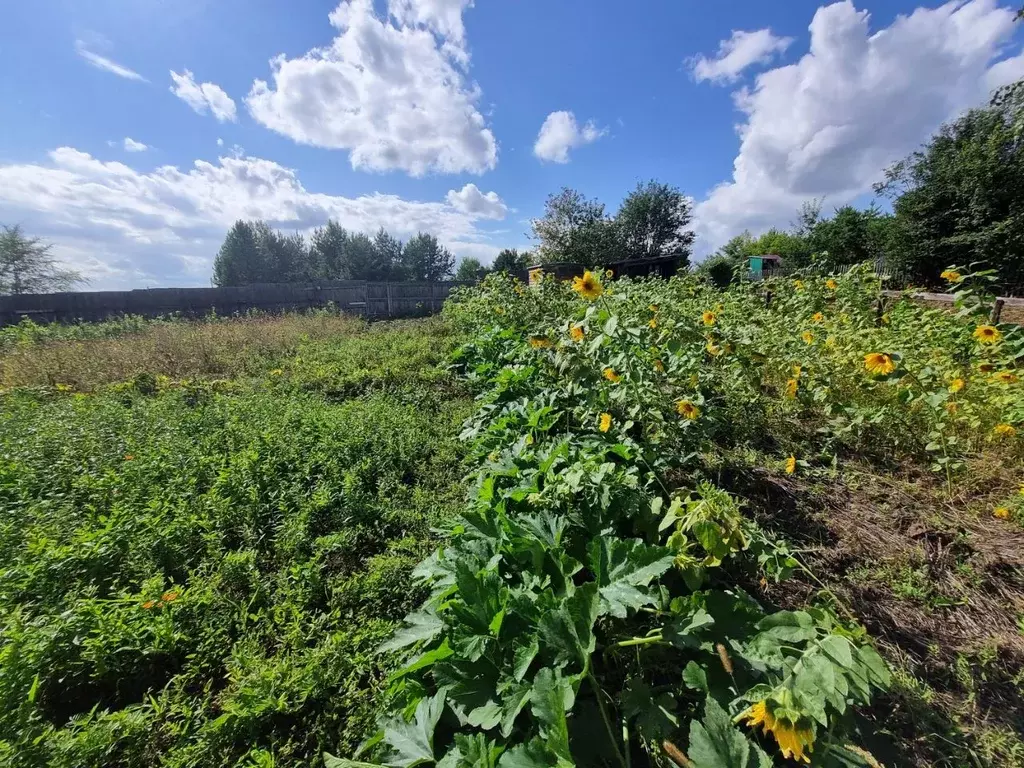 Участок в Красноярский край, Сосновоборск Дружба НОТ,  (4.5 сот.) - Фото 2
