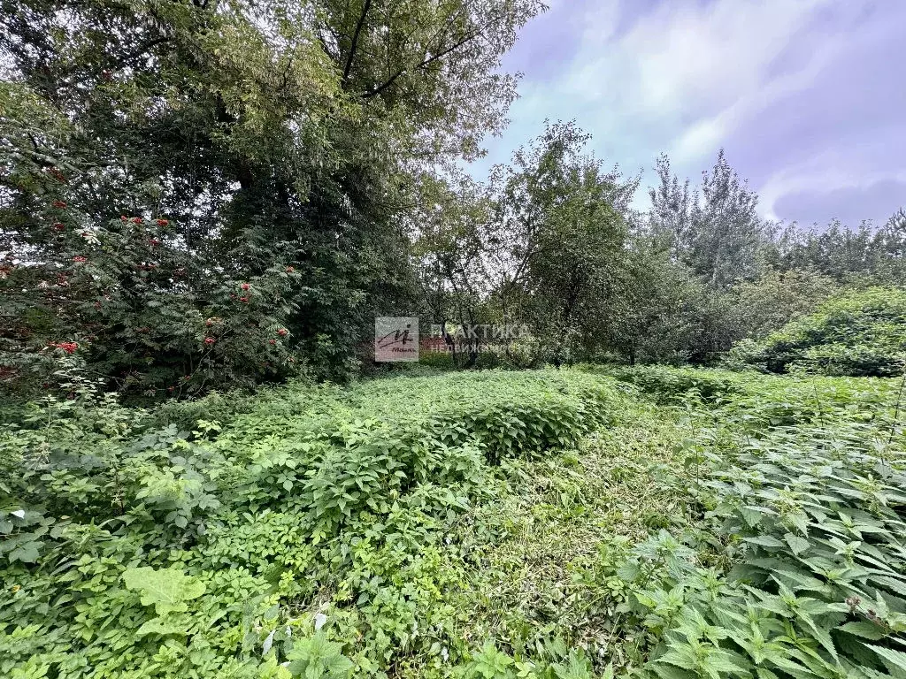 Продается участок в с. Немчиновка - Фото 2