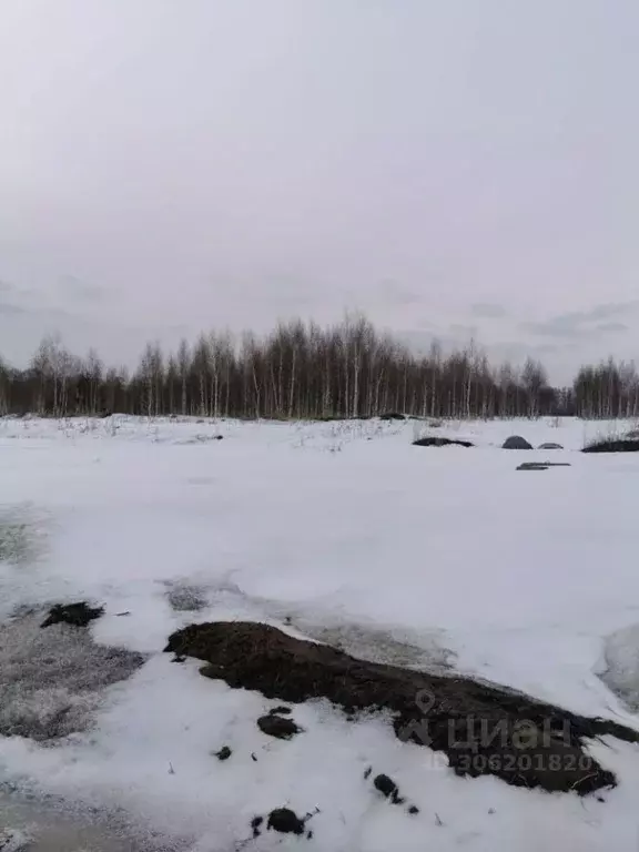 Участок в Татарстан, Лаишево муниципальное образование, д. Старая ... - Фото 0