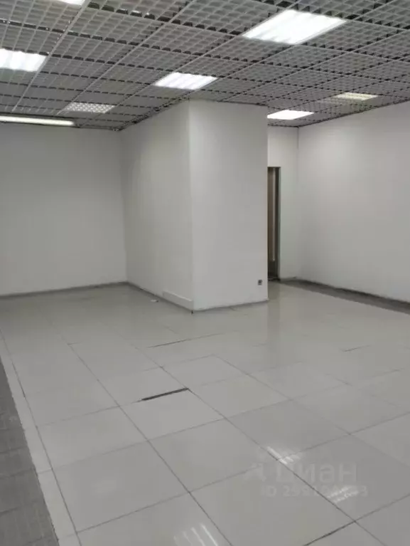 Торговая площадь в Свердловская область, Екатеринбург ул. Академика ... - Фото 2