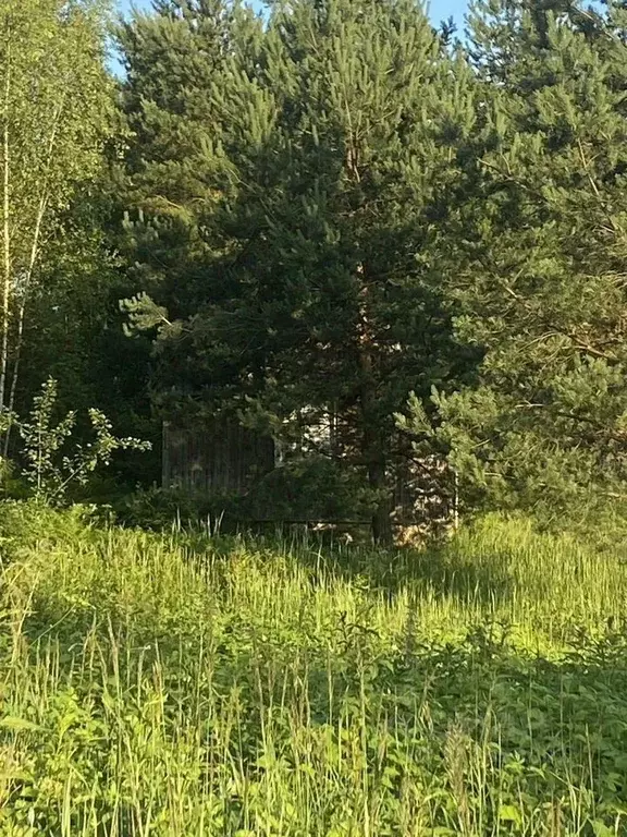 Участок в Московская область, Одинцовский городской округ, д. ... - Фото 2