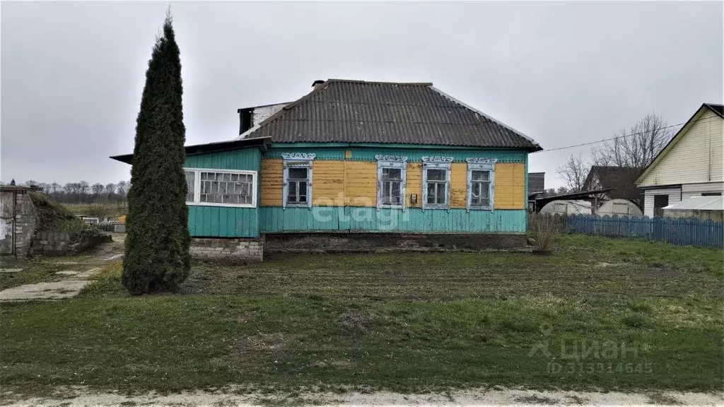 Дом в Брянская область, Выгоничское городское поселение, д. Бурачовка ... - Фото 0