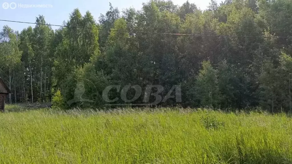 Участок в Нижнетавдинский район, село Тюнево (8 м) - Фото 0