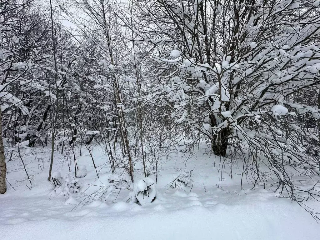 Участок в Московская область, Рузский муниципальный округ, д. Булыгино ... - Фото 2