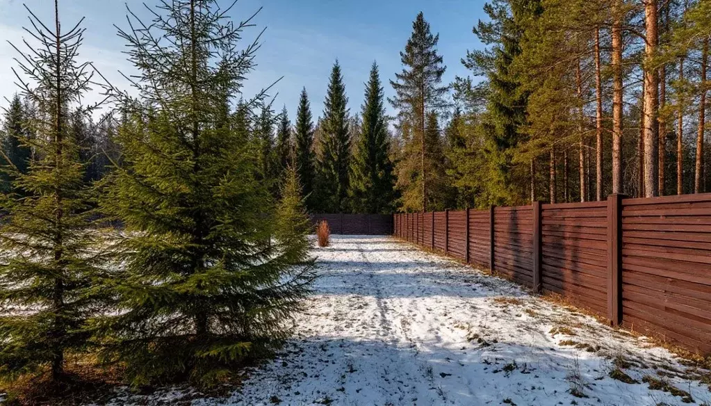 Участок в Московская область, Истра ул. Боголюбова (10.0 сот.) - Фото 1