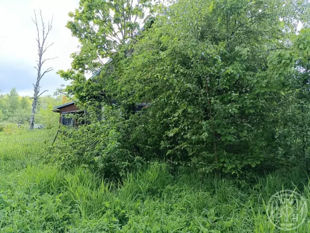 Дом в Красное Село, проспект Красных Командиров (36 м) - Фото 0