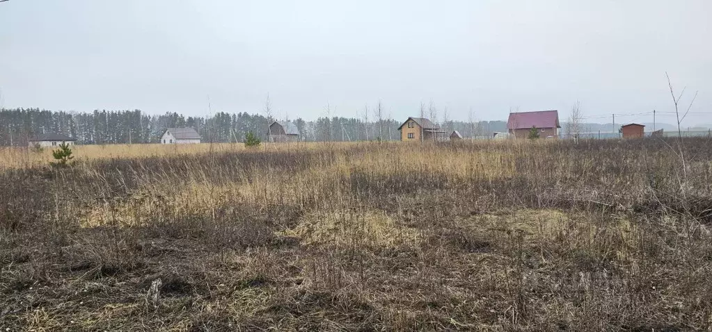 Участок в Московская область, Луховицы муниципальный округ, с. Матыра ... - Фото 0