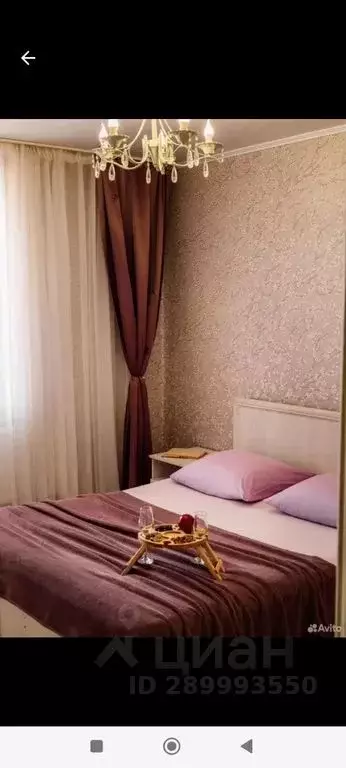 1-к кв. Саратовская область, Энгельс ул. Пушкина, 87 (40.0 м) - Фото 0