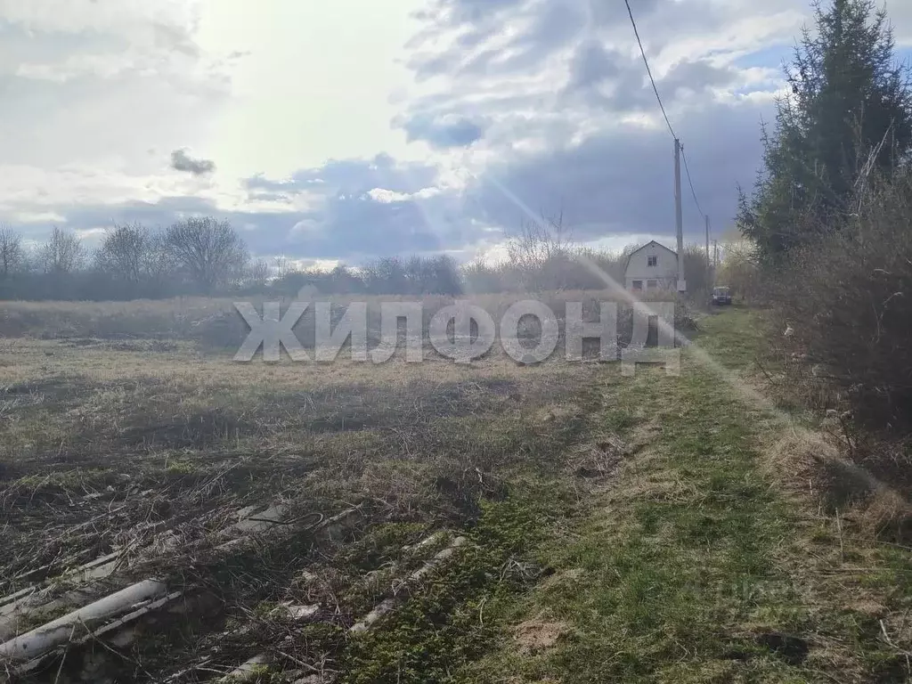 Участок в Брянская область, Брянский район, Снежское с/пос, пос. ... - Фото 1