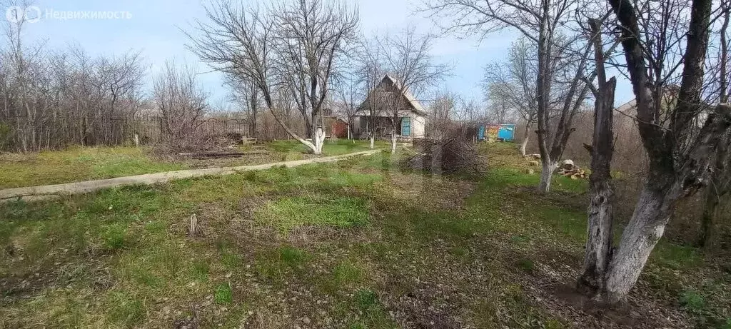 Участок в Энгельсский район, Новопушкинское муниципальное образование, ... - Фото 0