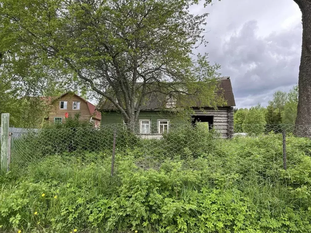 Участок в Ленинградская область, Ломоносовский район, Лопухинское ... - Фото 0