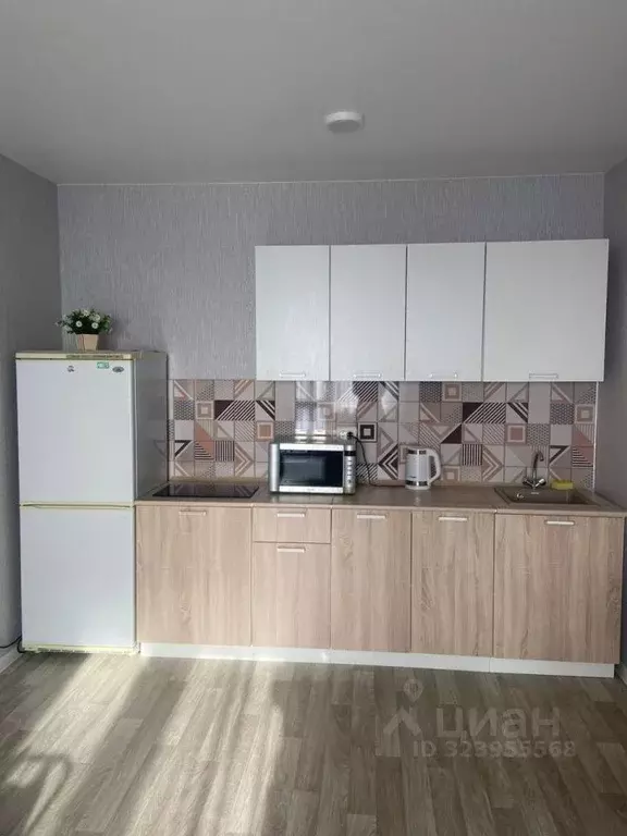 Студия Новосибирская область, Новосибирский район, Станционный ... - Фото 2