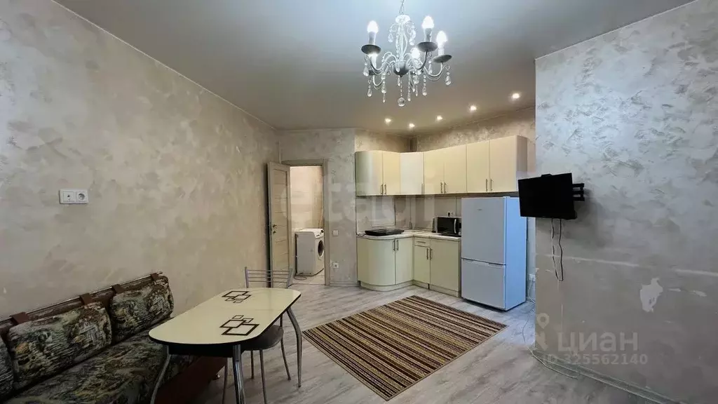 Студия Московская область, Богородский городской округ, д. Новая ... - Фото 1