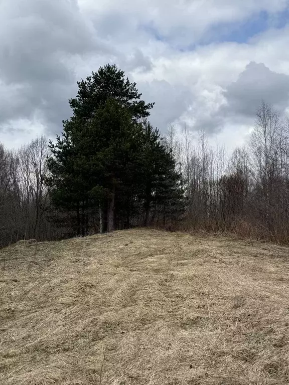 Участок в Новгородская область, Валдайский муниципальный район, ... - Фото 2