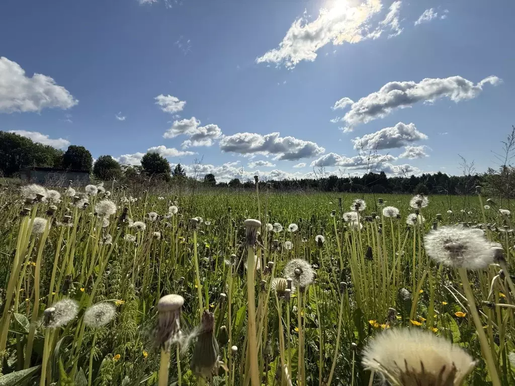 Участок в Ярославская область, Переславль-Залесский муниципальный ... - Фото 1