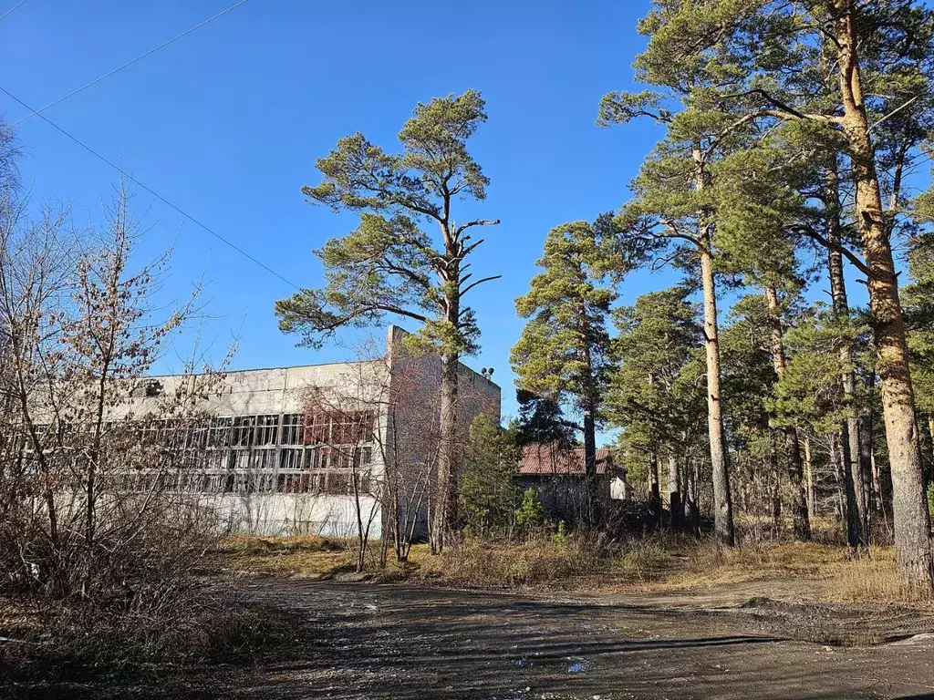 Участок в Алтайский край, Барнаул ул. Кутузова, 2А (26.7 сот.) - Фото 0