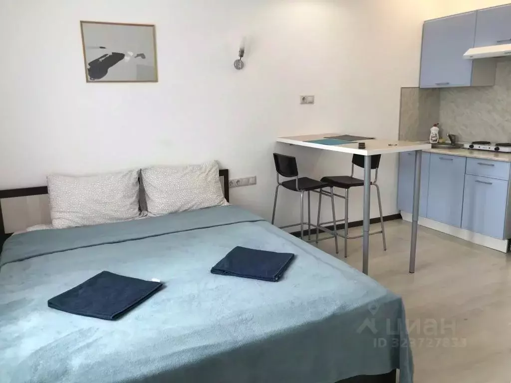 1-к кв. Московская область, Люберцы ул. Весенняя, 14 (18.0 м) - Фото 1