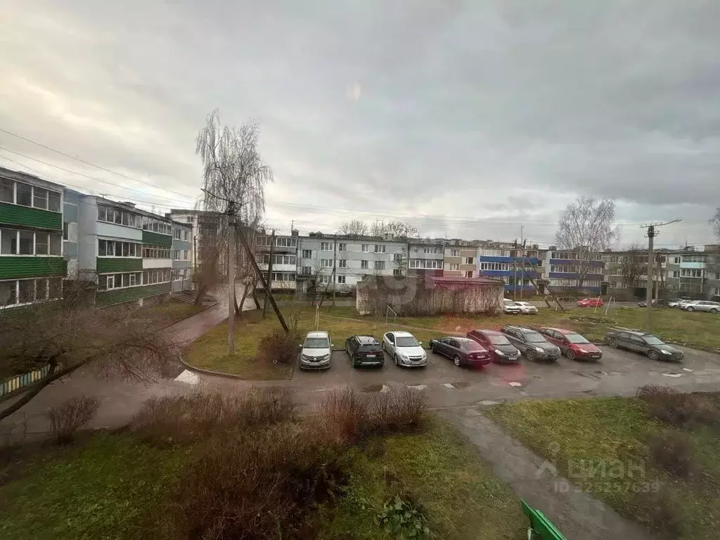 3-к кв. Псковская область, Остров Строитель мкр, 8 (58.4 м) - Фото 2