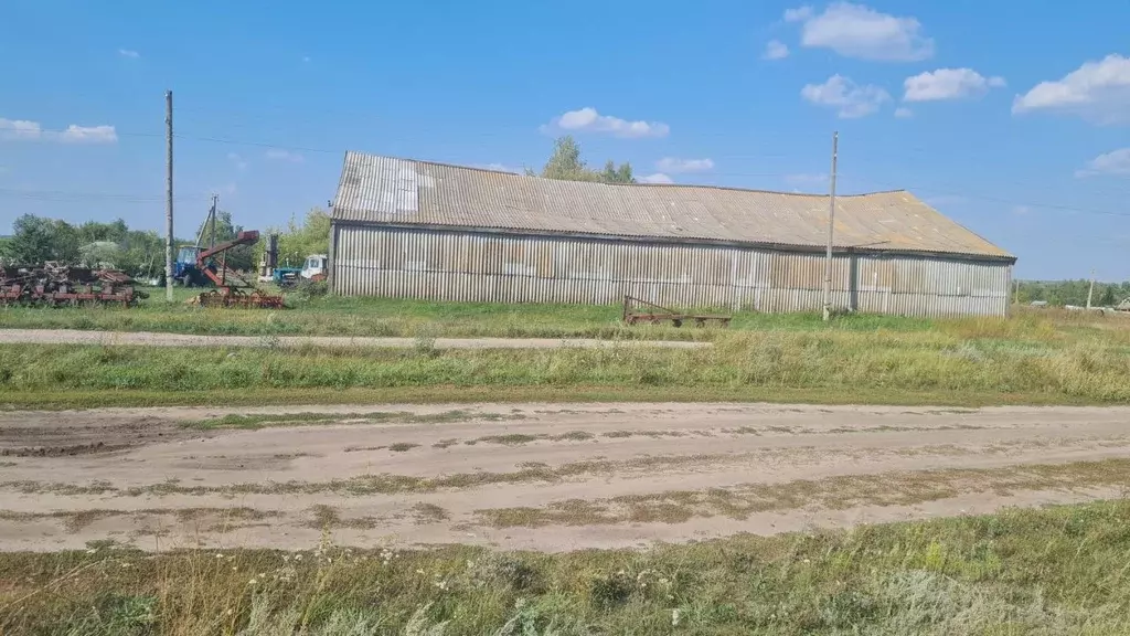 Дом в Тамбовская область, Мучкапский муниципальный округ, с. Нижнее ... - Фото 1
