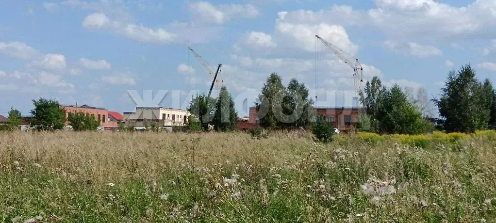 Участок в Новосибирская область, Бердск Раздольный мкр,  (7.0 сот.) - Фото 1