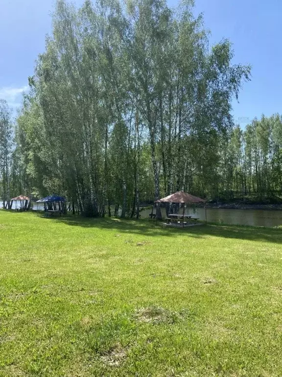 Участок в Калужская область, Кировский муниципальный округ, Дуброво ... - Фото 1