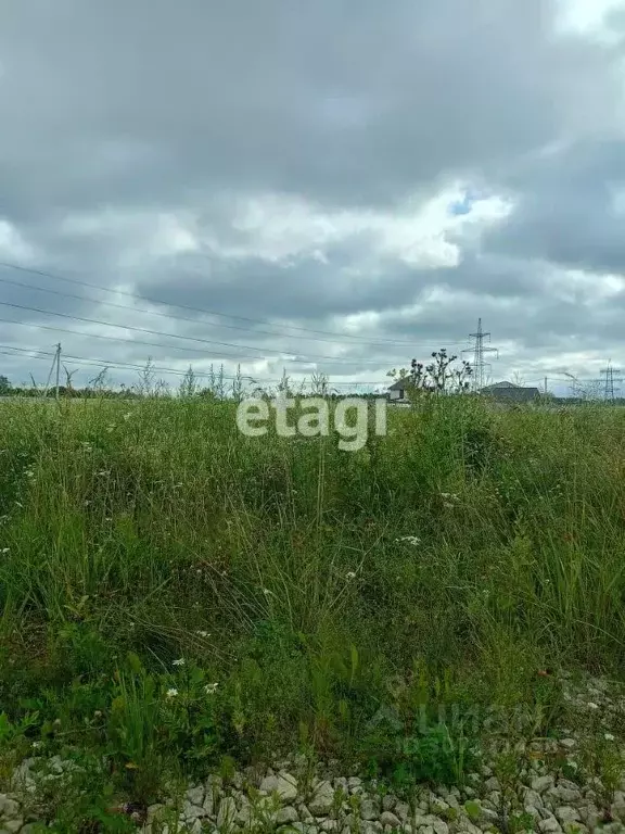 Участок в Ленинградская область, Приозерский район, Красноозерное ... - Фото 0