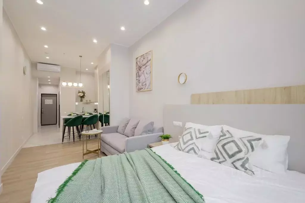 1-к кв. Краснодарский край, Сочи Центральный мкр, ул. Навагинская, 11А ... - Фото 1