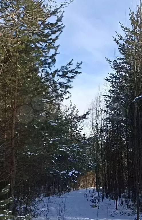 Участок 9 сот. (СНТ, ДНП) - Фото 1