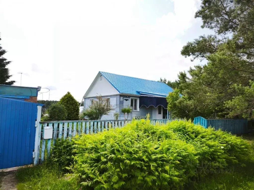 Дом в Омская область, с. Азово ул. Ваффеншмидта, 12 (83 м) - Фото 0