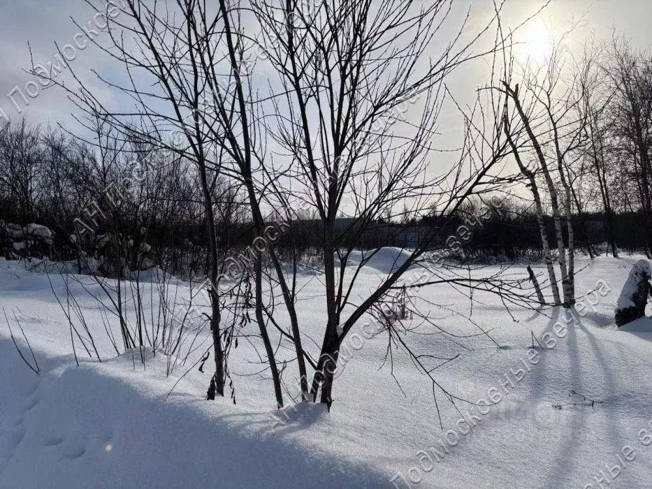 Участок в Московская область, Истра муниципальный округ, д. Котово, ... - Фото 2