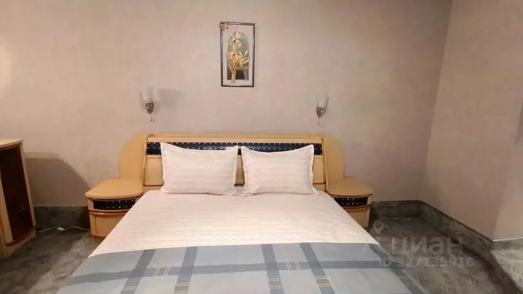 2-к кв. Самарская область, Самара Ново-Садовая ул., 106б (65.0 м) - Фото 2