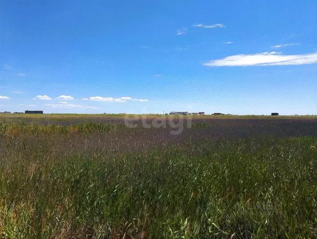 Участок в Крым, Феодосия ул. Каштановая (10.0 сот.) - Фото 1