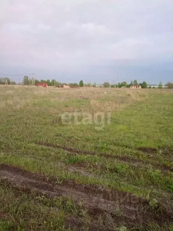 Купить Участок В Новой Усмани Воронежской