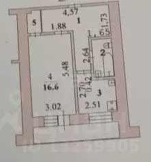 1-к кв. Липецкая область, Липецк ул. Зегеля, 27/1 (38.0 м) - Фото 2