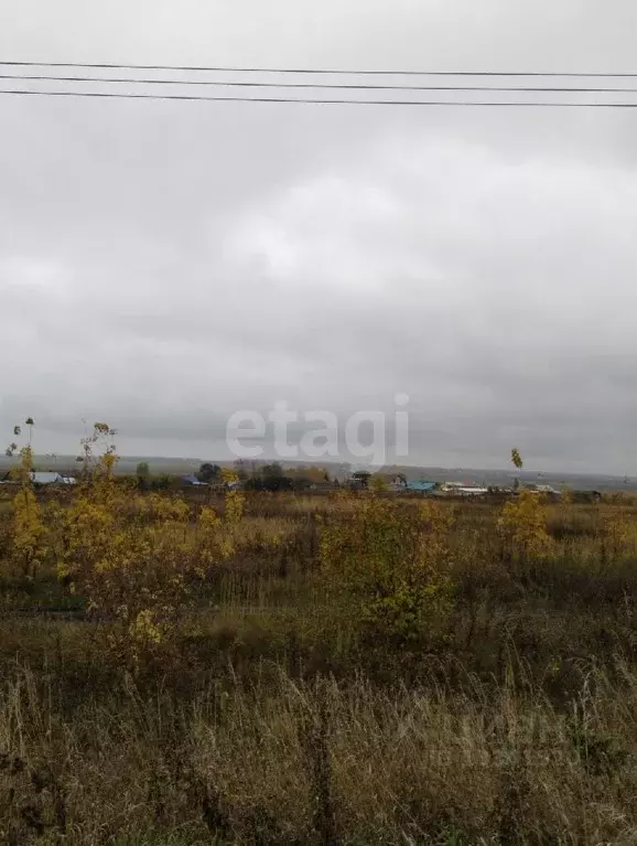 Участок в Ульяновская область, Ульяновский район, Тимирязевское с/пос, ... - Фото 1