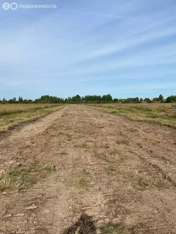 Участок в Новгородская область, Маловишерское городское поселение, ... - Фото 2