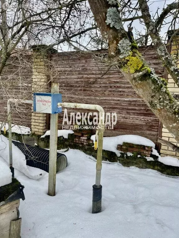 Участок в посёлок Лисий Нос, Раздельный проспект, 30 (12 м) - Фото 2