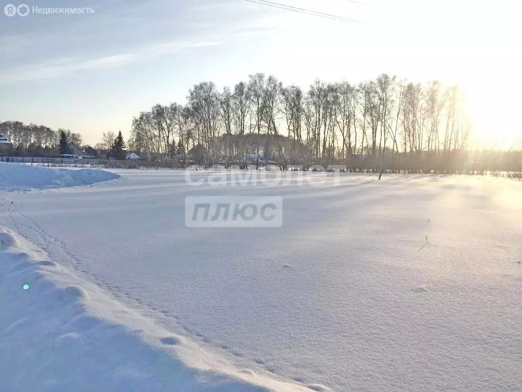 Участок в деревня Осоргино, ДНП Осоргинский Посад (320 м) - Фото 1