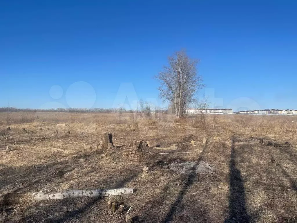 Участок 8,6 сот. (СНТ, ДНП) - Фото 0