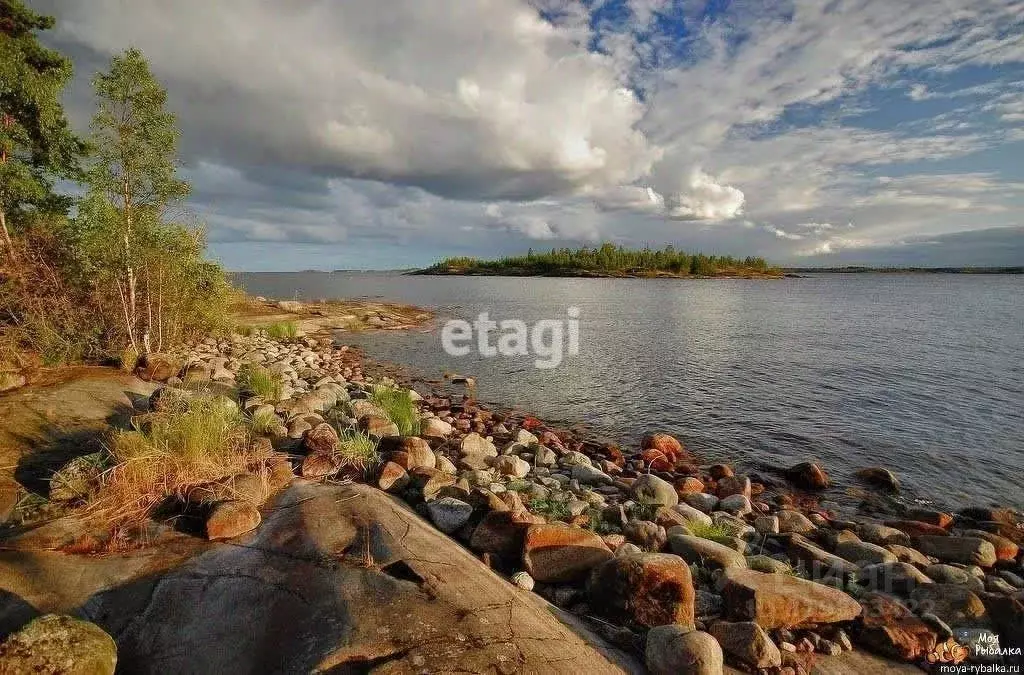 Участок в Ленинградская область, Всеволожский район, Рахьинское ... - Фото 2