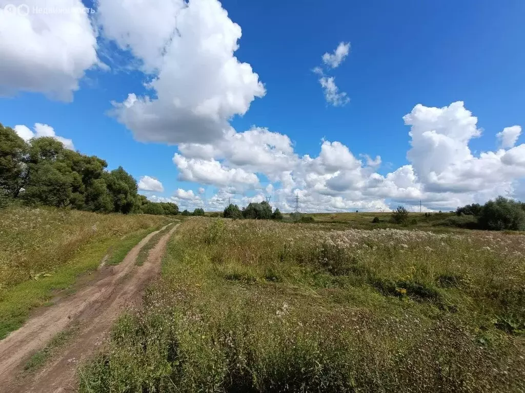 Участок в село Сновицы, улица Вороновой (450 м) - Фото 0