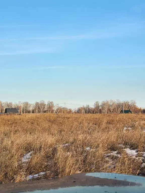 Участок в Челябинская область, Красноармейский район, Луговское с/пос, ... - Фото 1