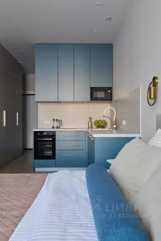 Студия Санкт-Петербург наб. Миклухо-Маклая, 3к1 (25.0 м) - Фото 2