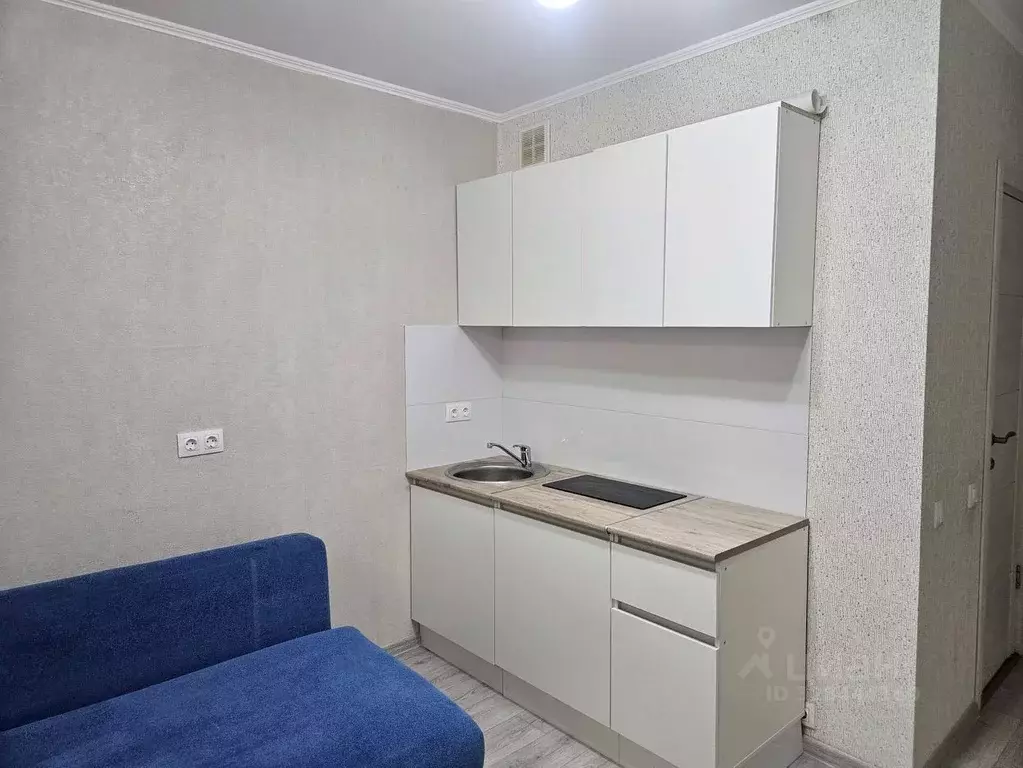 Студия Московская область, Ленинский городской округ, Лопатино пгт ул. ... - Фото 1