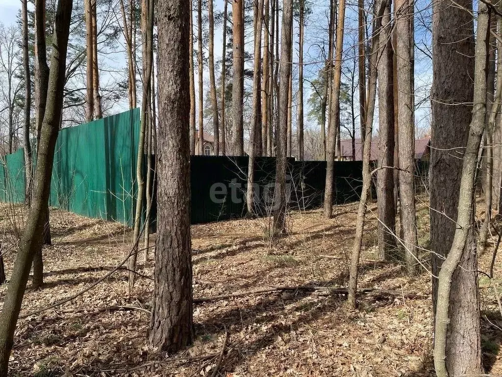 Участок в Тамбовская область, Тамбов городской округ, пос. Тригуляй ... - Фото 0