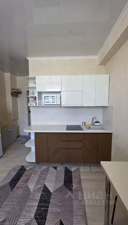 Студия Чувашия, Чебоксары ул. Аркадия Гайдара, 6 (20.2 м) - Фото 2