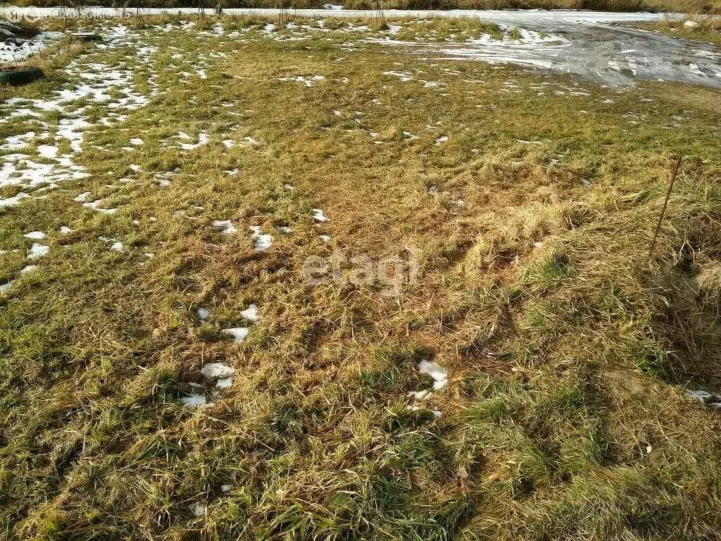 Участок в Новосибирский район, село Толмачёво (10 м) - Фото 0