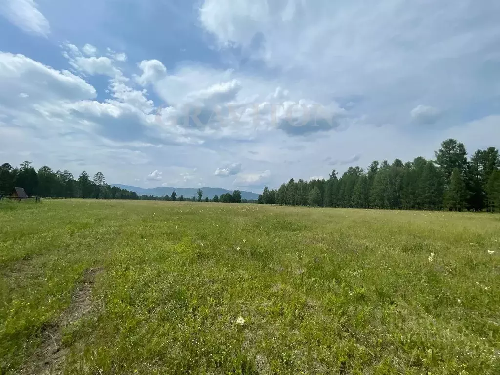 Участок в Алтай, Усть-Коксинский район, пос. Гагарка ул. Луговая ... - Фото 1