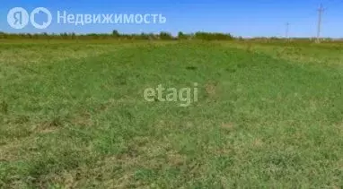 Участок в Пермский край, Нытвенский муниципальный округ, деревня ... - Фото 1
