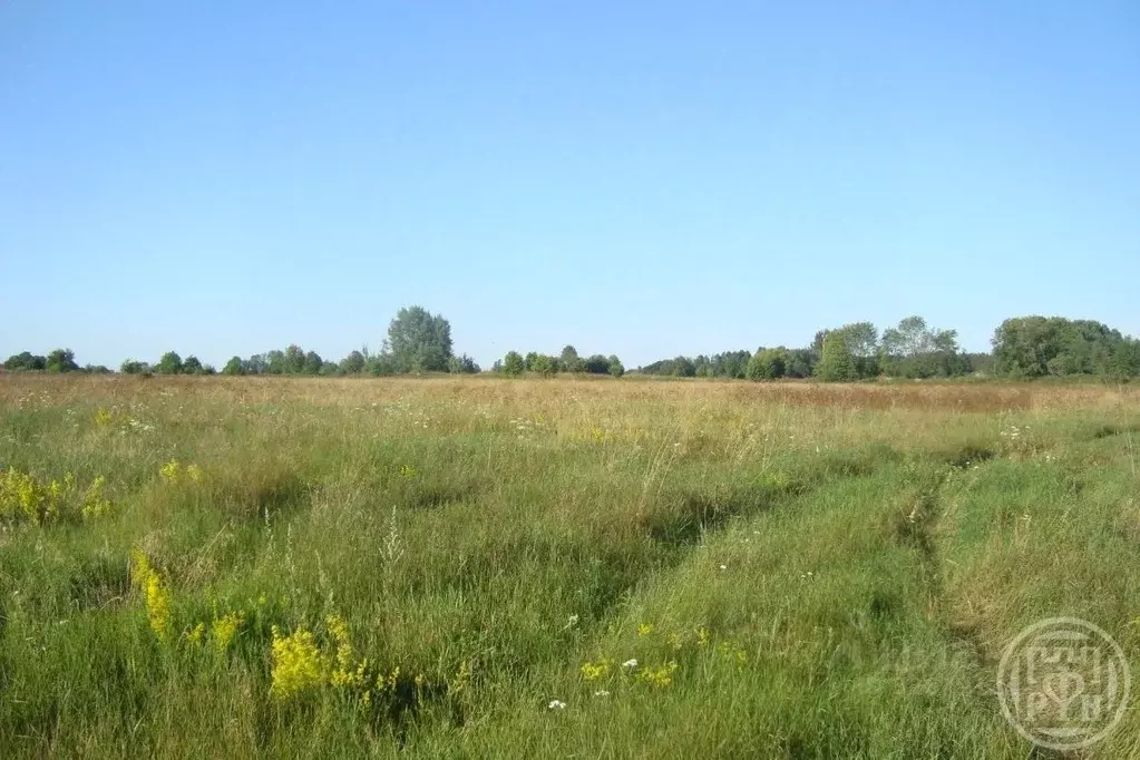 Участок в Ленинградская область, Выборгский район, Красносельское ... - Фото 2